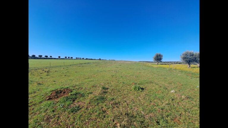 Guia Completo de Imóveis em Estremoz: Tudo o Que Precisa Saber
