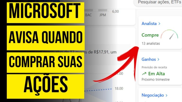 Guia Completo do MSN Finan&ccedil;as